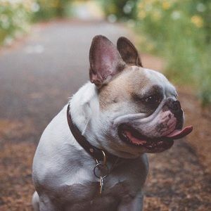 Meet your Posher, Karen